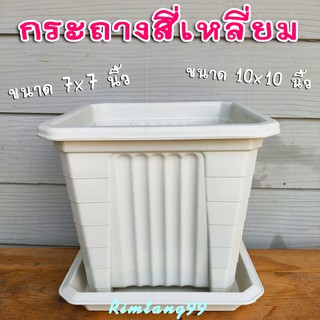 กระถางพลาสติก กระถางพลาสติกสี่เหลี่ยม ** ขนาด 7 และ10 นิ้ว พร้อมจานรอง กระถางต้นไม้ กระถางดอกไม้