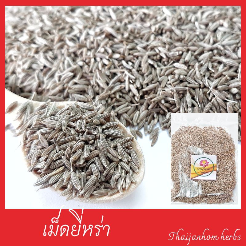เม็ดยี่หร่า   ยี่หร่า คัดเกรด Cumin Seed