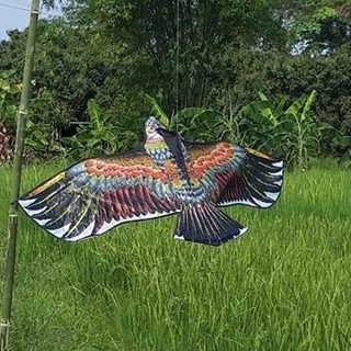 🦅(พร้อมส่ง) ว่าว นกอินทรีย์ ขนาดกลาง 150-160 ซม ว่าวไล่นก ว่าวไล่ศัตรูพืช