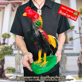 ไก่ชนแก้บน ขนาดใหญ่เกือบเท่าไก่จริง สูง25ซม.งานลงสีงดงาม บูชาถวายในวาระต่างๆในการแก้บนศาลหรือขอความเจริญรุ่งเรือง