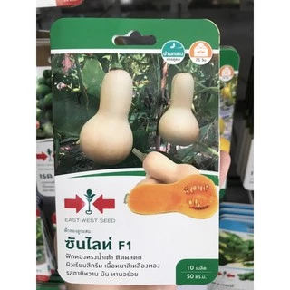 ฟักทอง ซันไลท์ หวาน หอม อร่อย ถุงทอง บัตเตอร์นัท ศรแดง