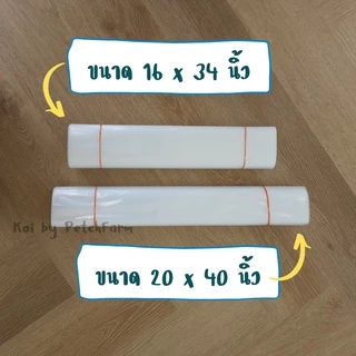 🔥ถุงแพคปลา ดีที่สุด 🔥 แพคปลาสวยงาม เนื้อหนา 0.08 mm ไม่ขาดง่าย เหนียว ทน เกรด AAA หนัก 0.5 kg และ 1 kg