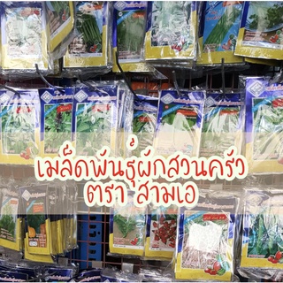 เมล็ดพันธ์ุผัก 3Aเมล็ดผัก ผักสวนครัว ผักซอง ข้าวโพดหวาน มะเข…