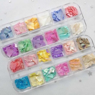 เปลือกหอยสีพาสเทล สีหวาน สีสดใส