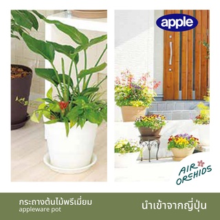 กระถางต้นไม้เกรดพรีเมี่ยม Appleware - รุ่น rose และรุ่น craft สินค้านำเข้าจากญี่ปุ่น