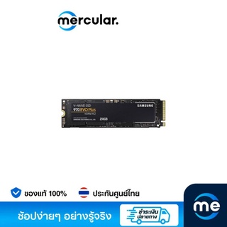 Samsung  SSD 970 EVO PLUS M.2 250 GB Solid State Drive