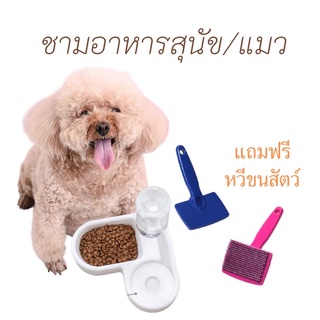 ลด50%ล้างสต๊อก Daisy.Coco ที่ใส่อาหาร ชามอาหารเข้ามุม ที่ใส่อาหารหมา ที่ใส่อาหารแมว ชามใส่น้ำ แปรงหวีขนสัตว์