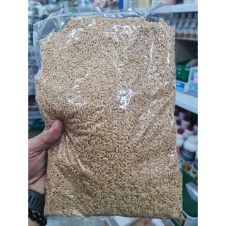 ข้าวโอ๊ต สด ใหม่ ไร้ฝุ่น ขนาด 1 kg