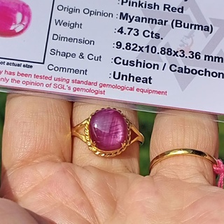 #4.73ct.#ทับทิมพม่าดิบทรงคุชชั่น #Certified Natural Unheated Burma Ruby