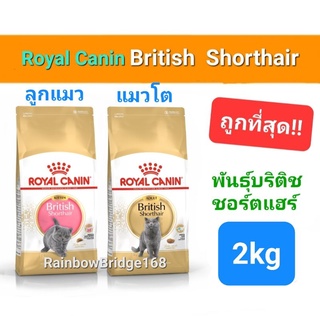 Royal Canin British Shorthair Kitten 2kg (Exp.07/24) / British Shorthair Adult (Exp.08/24) แมวโต ลูกแมว บริติช ถุง 2 กก