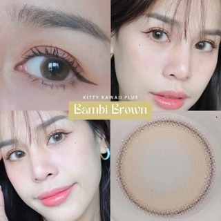 คอนแทคเลนส์ Bambi Brown / Hazel / Gray (Kitty Kawaii) ขนาดกลาง 🌷 รุ่นใหม่ ตาหวาน แบ๊ว เหมือนกวางน้อย