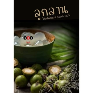 ลูกลาน 🌴[เชื่อม|สด] 500กรัม🌴