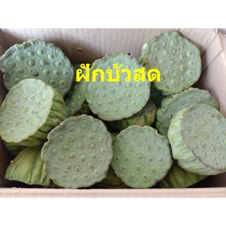 ฝักบัวสด บัวหวาน ฝักบัว  เก็บจากบึงบัวธรรมชาติ เม็ดบัวสดๆ เก็บใหม่ๆ เมล็ดบัวสด เมล็ดบัวหวาน เม็ดบัวสด เม็ดบัวหวาน