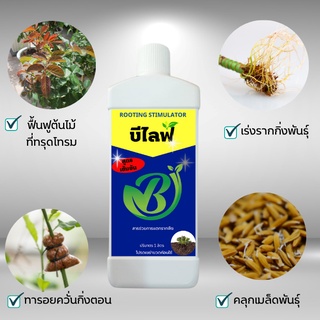 น้ำยาเร่งราก บีไลฟ์ (B-Life) ช่วยกระตุ้นและส่งเสริมการแตกรากของ กิ่งตอน กิ่งปักชำ ต้นกล้าที่ย้ายปลูกใหม่ และ เมล็ดพันธุ์