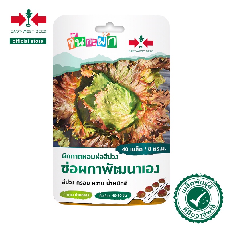 ศรแดง เมล็ดพันธุ์ ผักกาดหอมห่อสีม่วงช่อผกาพัฒนาเอง จันกะผัก (East West Seed) เมล็ดพันธุ์ผัก ตราศรแดง