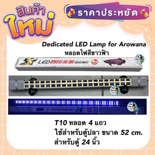 Dedicated LED Lamp for Arowana หลอดไฟสีขาวฟ้า  T10 หลอด 4 แถวใช้สำหรับตู้ปลา ขนาด 52 cm. สำหรับตู้ 24 นิ้ว