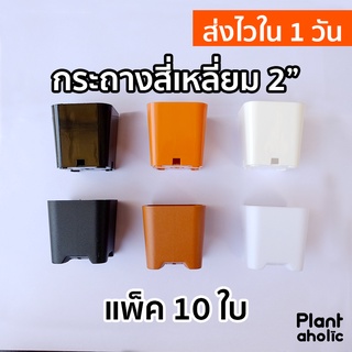 กระถางสี่เหลี่ยม 2 นิ้ว พลาสติกเนื้อหนา กระถางแคคตัส กระบองเพชร แพ็ค 10 ใบ