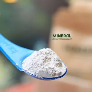 [1 kg.] ผงแร่ธาตุ MINERAL มิเนอรัล