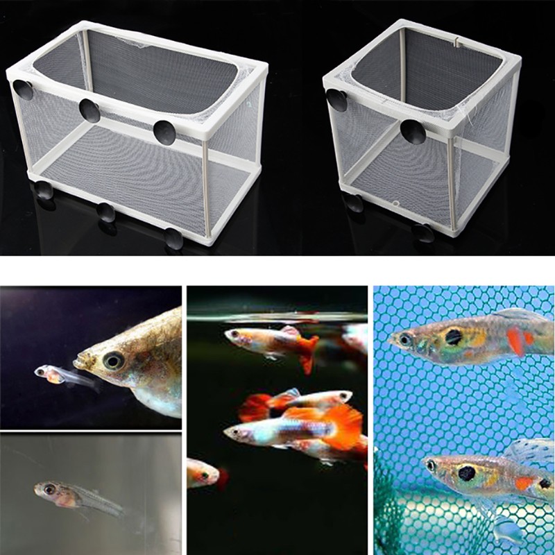 Yoodada Fish Tank Aquarium Breeding Guppy Breeder Fish Baby Gauze Trap Box Isolator S/L
