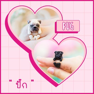 Ring / แหวน : Pug / ปั๊ก