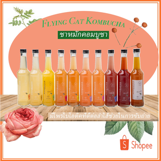 น้ำคอมบูชา Flyingcat Kombucha มีให้เลือก10รสชาติขนาด270 ML