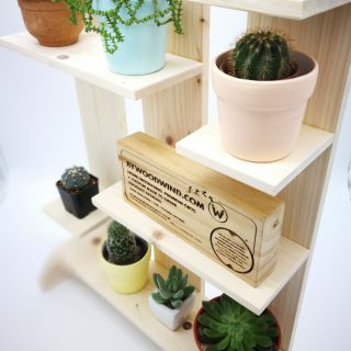 Pine wood Cactus Shelf