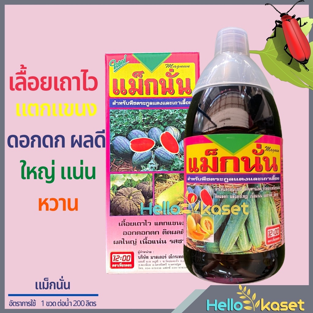 ฮอร์โมนพืช แม็กนั่น สำหรับพืชเถาเลื้อย ออกดอกดก ผลใหญ่ เนื้อแน่น ตราเที่ยงตรง ขนาด 1 ลิตร