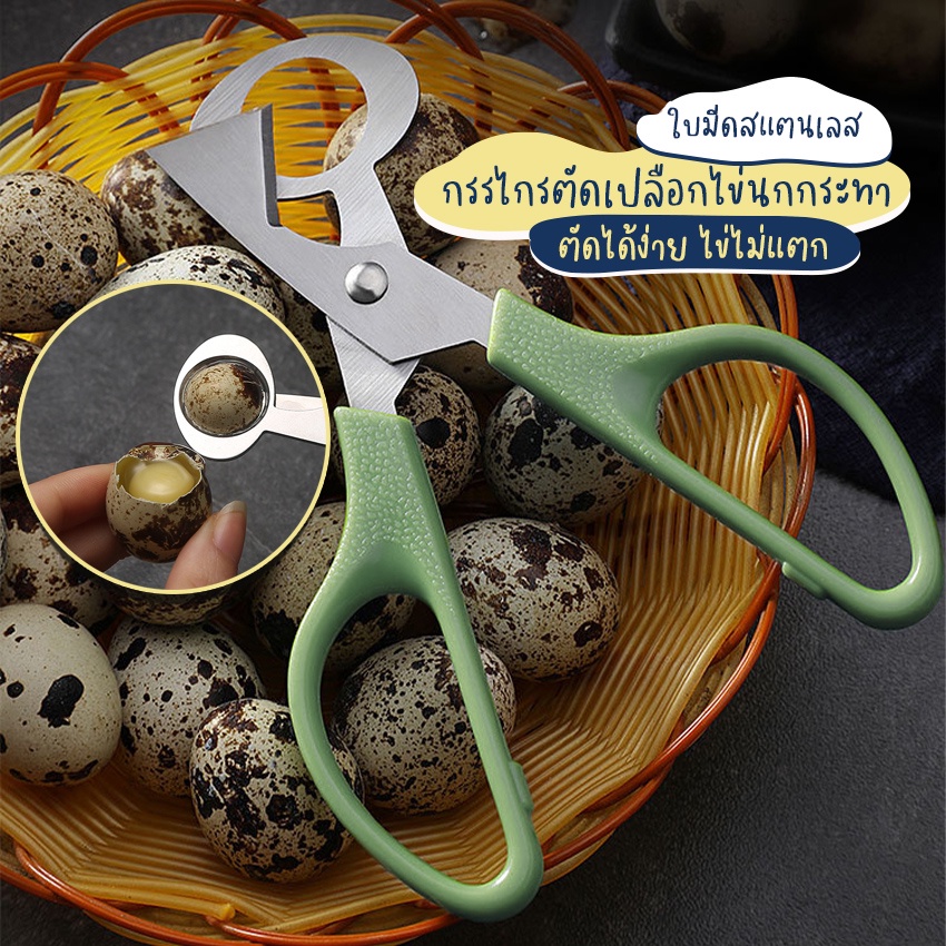 Systano (ส่งจากไทย) กรรไกรตัดเปลือกไข่นกกระทา กรรไกรตัดเปลือกไข่ขนาดเล็ก No.Y1186