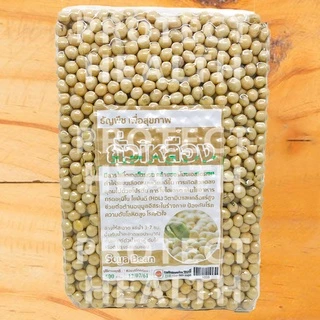 ถั่วเหลือง 500g ถั่วออแกนิค ถั่วเพื่อสุขภาพ ออแกนิก Organic Soya Bean ,Soy Bean ออแกนิค เสริมโปรตีน โปรตีนสูง ทำเต้าหู้