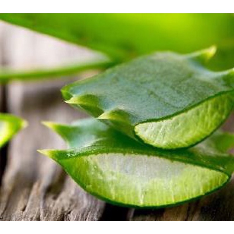 ว่านหางBR Derm 🇺🇸 ALOE VERA GEL PLUS 25 G เจลว่านหางจระเข้ - รูปที่ 3