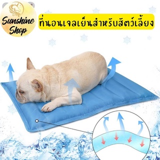 🎈New🎈 Pet Cool Mat ที่นอนเจลเย็นสำหรับสัตว์เลี้ยง แผ่นเจลเย็น แผ่นระบายความร้อน