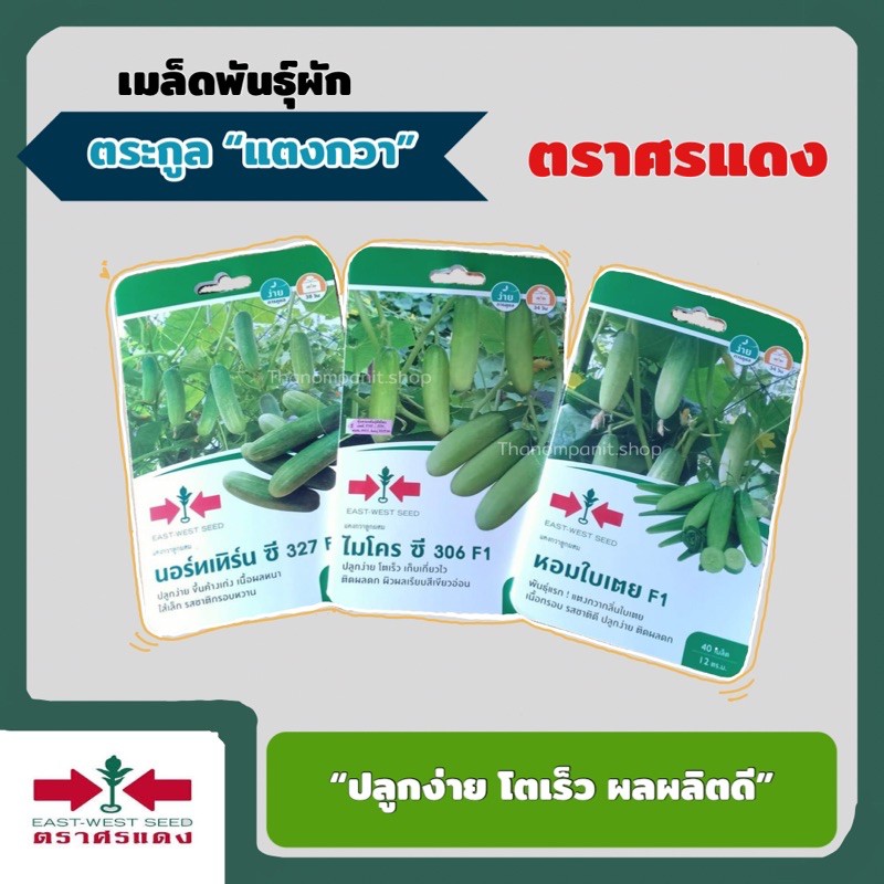 เมล็ดพันธุ์ เมล็ดผัก ตระกูลแตงกวา ศรแดง *หมดอายุ2570*