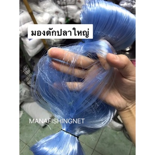 ข่ายดักปลา 📌 ตาใหญ่สุด 18 เซ็น #มอง #ด่าง #ข่าย ลึก 20 ตา ป้าย 200 เมตร #ดางดักปลา #ข่ายดักปลาใหญ่