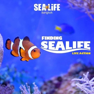 [E- Ticket] Sealife Bangkok ซีไลฟ์โอเชี่ยนเวิลด์ หมดอายุ 30/11/66