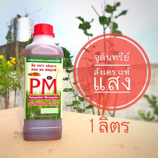 จุลินทรีย์สังเคราะห์แสง ขนาด 1ลิตร Photosynthetic Microorganism