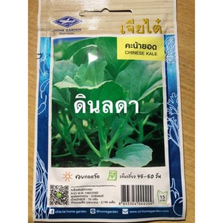 คะน้ายอด เมล็ดพันธุ์เจียไต๋  สินค้าพร้อมส่ง