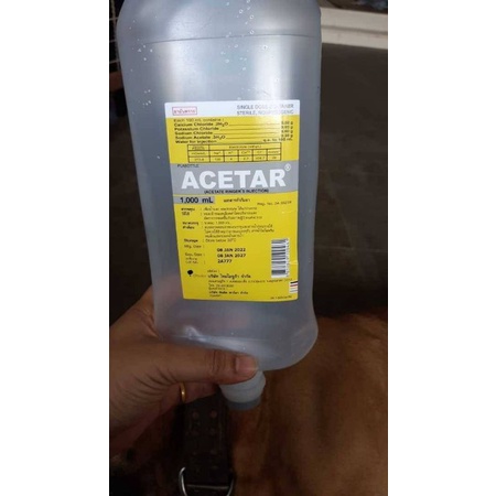 น้ำเกลือ ACETAR ขนาด 1,000 มล. สำหรับน้องหมา🐶 และ🐱น้องแมวโรคตับ / ไต