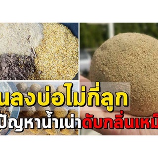 บำบัดน้ำเสียหัวเชื้อจุลินทรีย์ก้อนลดบัญหาน้ำเน่าเสียลดกลิ่นทันทีไขมันสารอินทรีย์ขึ้นลูกใหญ่สุดจำโบ้ชุด12ลูก30บาท1ชุด