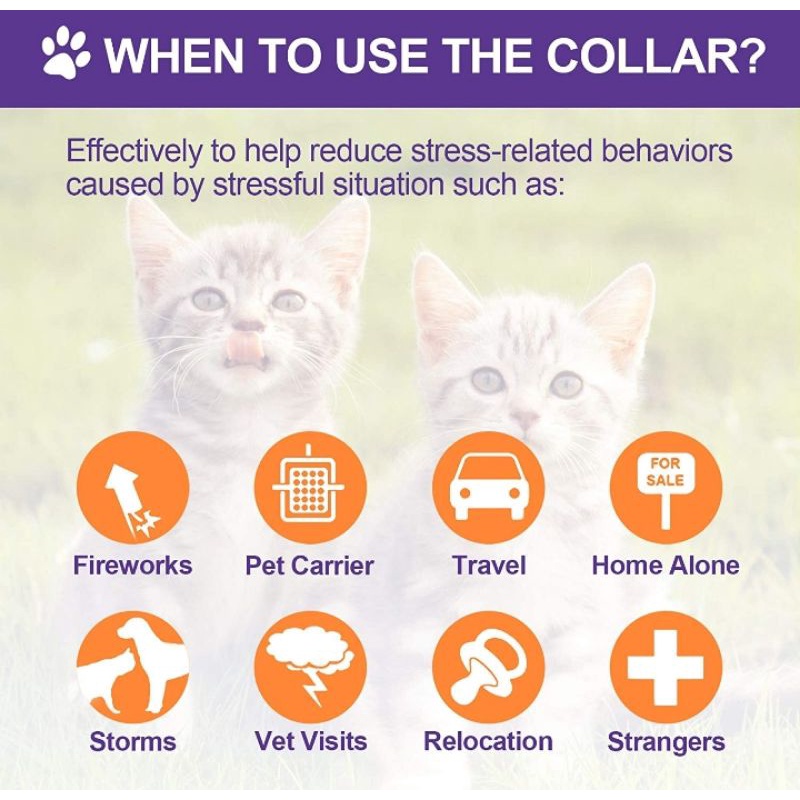 (พร้อมส่งลองอ่านรีวิวก่อนนะคะ) Calming Collar Cat  ขายดีอันดับที่1 Amz USA   ลดภาวะแมวหมาเครียดแมวติดสัตว์แมวก้าวร้าว