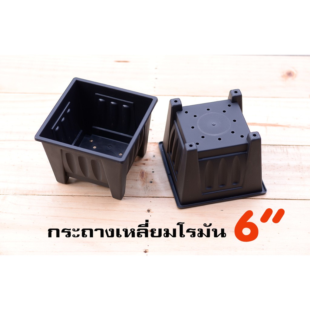 กระถางปากเหลี่ยม ขนาด 6 นิ้ว โรมัน สีดำ