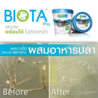 จุลินทรีย์ BIOTA Pro ผสมอาหาร กุ้ง/ปลากินดี แข็งแรง โตไว กำไรงาม