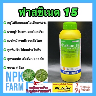 ฟาสซิเนต 1 ลิตร กลูโฟซิเนต-แอมโมเนียม เกรดบาสต้า เอ็กซ์ กำจัดหญ้า ใบแคบ ใบกว้าง แบบดูดซึม และ เผาไหม้ ปลอดภัย ไม่ตกค้าง