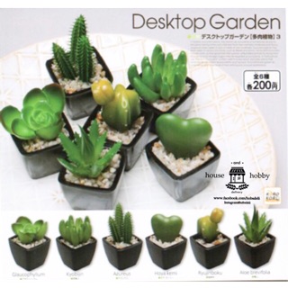 『 พร้อมส่ง 』Gachapon Desktop Garden Set of 6