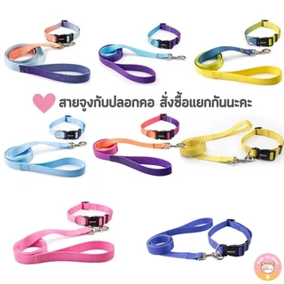 พร้อมส่งจากไทย ปลอกคอสุนัข QQPETSรุ่นพรีเมี่ยม ไล่โทนสี สวยมาก C005
