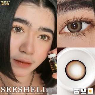 💋 สุดปัง มีค่าสายตา 💋 Wink Seeshell Gray Brown  บิ๊กอาย สุดปัง คอนแทคเลนส์ รายเดือน มีอย แถมตลับฟรี  เลนส์นิ่ม สวยปังมาก