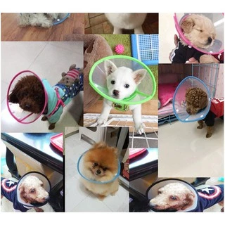 MI ปลอกคอรักษาบาดแผลกรวยป้องกันสมาร์ทปลอกคอสัตว์เลี้ยงทางการแพทย์ Dog Cat Dog Cat Elizabethan ST005-ST008