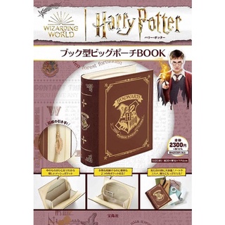 Harry Potter Big Pouch Book