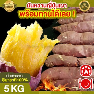 ส่งฟรี มันหวานญี่ปุ่น เบนิฮารุกะ 5kg เผาให้ ทานได้เลย 🔥นำเข้าจากญี่ปุ่นแท้ 100% มันญี่ปุ่นหวาน มันหวาน มันญี่ปุ่น