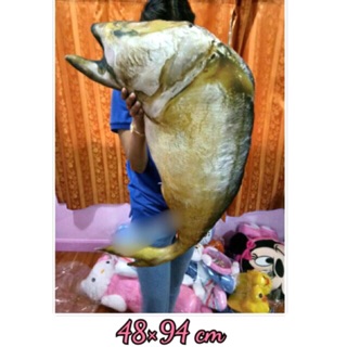 ปลาทูนึ่ง/ทอด ขนาด 90-100 ซม. 🐟