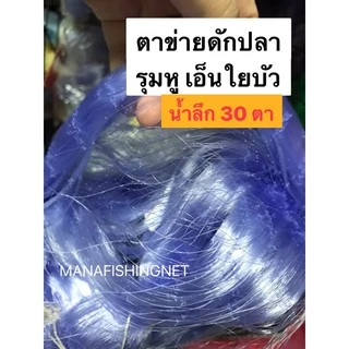 ตาข่ายดักปลา เอ็นใยบัว 0.15 น้ำลึก 30 ตา📌ตา 3 เซ็น/ 4 / 5 / 6 / 7 / 8 / 9 / 10 / 12 เซ็น ป้าย 200 เมตร